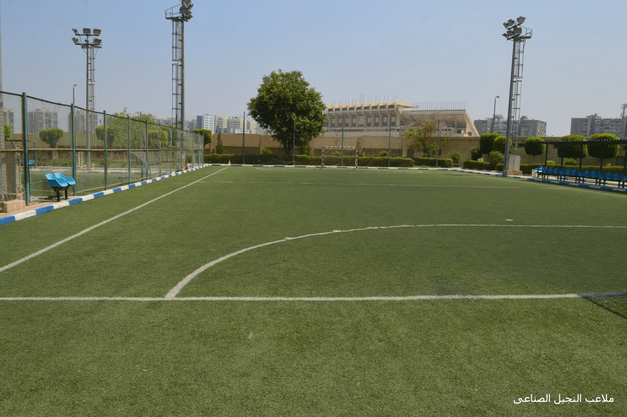 ملاعب النجيل الصناعي