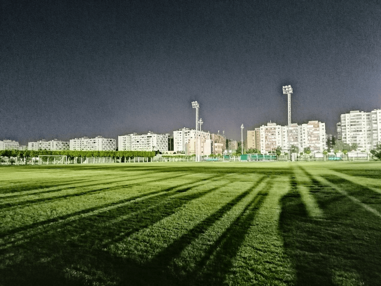 الملاعب الفرعية